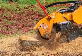 Best Leaf Removal  in Dennis Port, MA